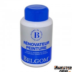 BELGOM RENOVATEUR PEINTURE (250ml)