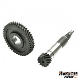 TRANSMISSION SCOOT ADAPTABLE MBK 50 OVETTO 2T-YAMAHA 50 NEOS 2T-APRILIA 50 SR-MALAGUTI F10 (PRIMAIRE 14-46)  -TOP PERF-