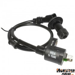 BOBINE ALLUMAGE MAXISCOOTER ADAPTABLE SYM 125 FIDDLE 2008>, SYMPHONY 2009>  -SELECTION P2R-