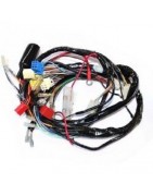 Faisceau pour Moto 50