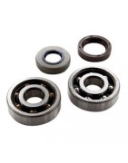 Roulement bas moteur pour Moto 50
